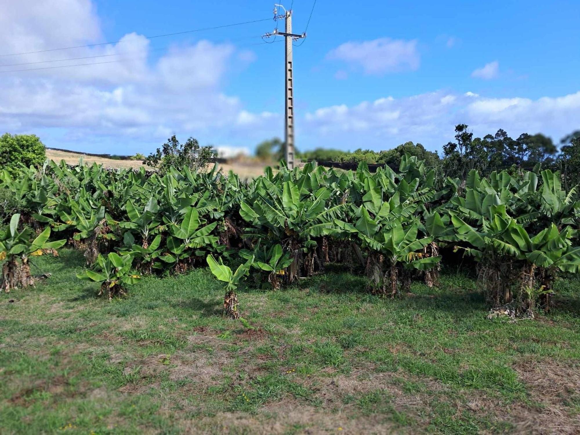 Quinta Do Norte Capelas Eksteriør billede