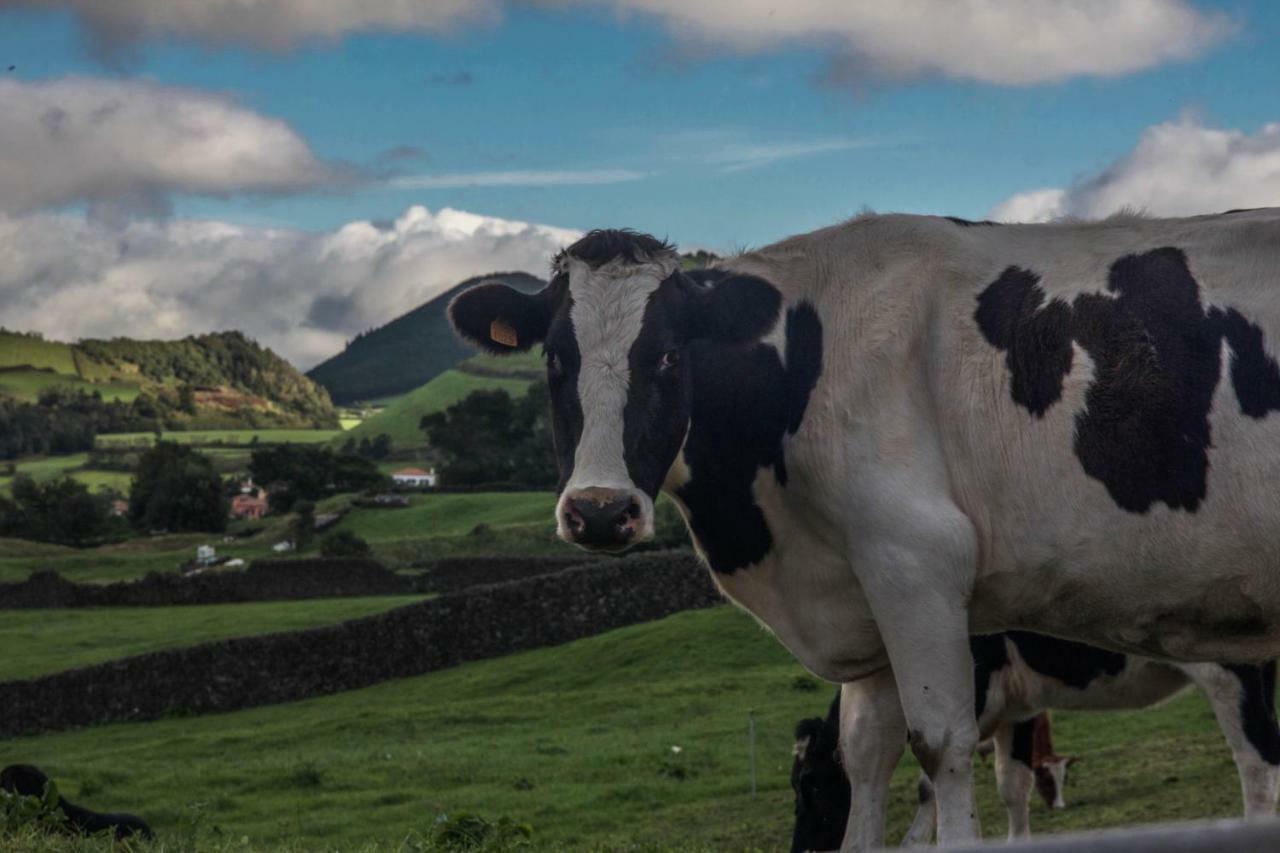 Quinta Do Norte Capelas Eksteriør billede